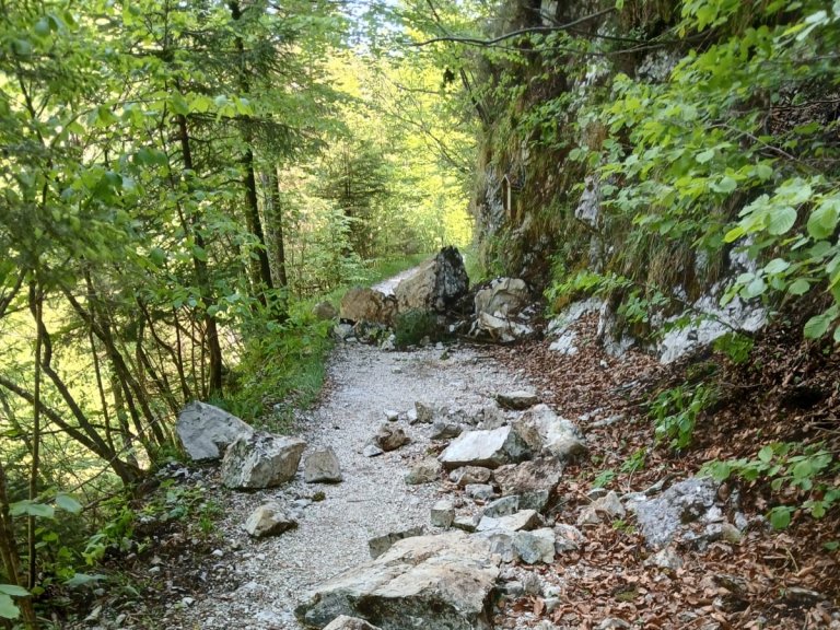Waldbahnweg_4.3_2025